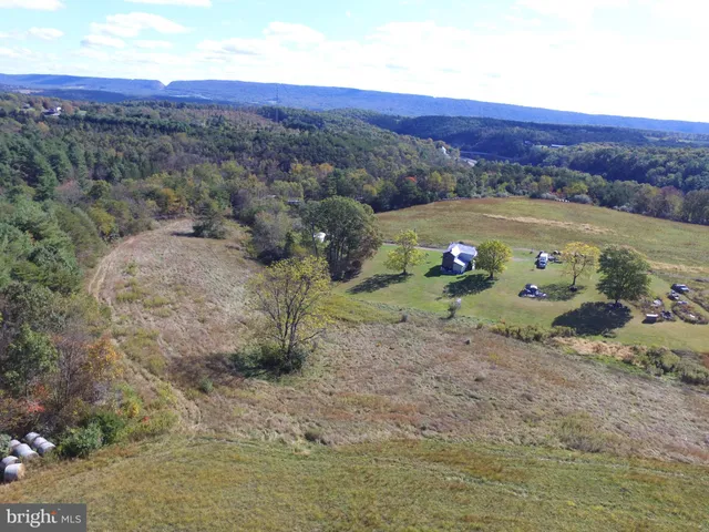 a view of a field with an ocean