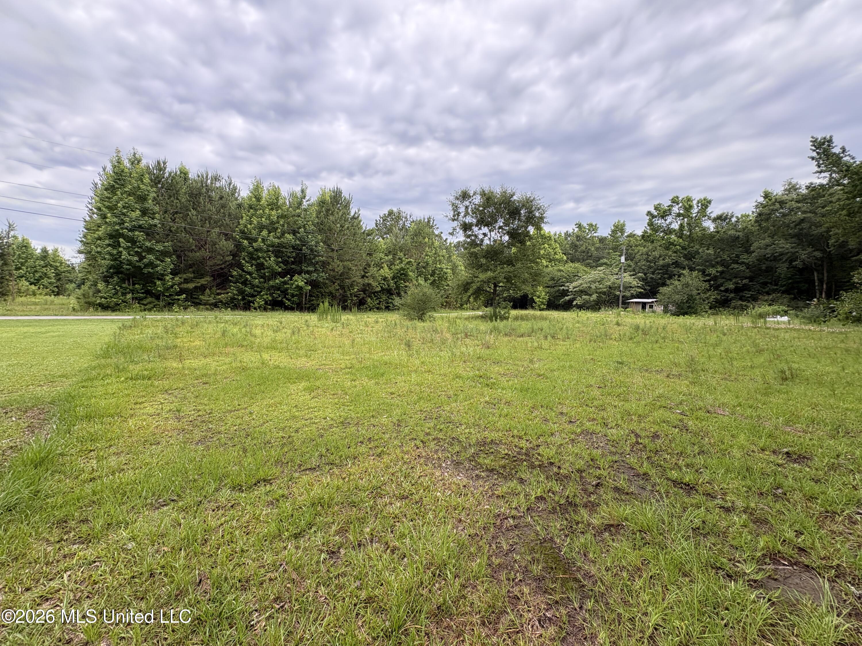 2517 Will Kibby Road Moss Point, MS 39562 - Photo 4 of 15 IMG_4462