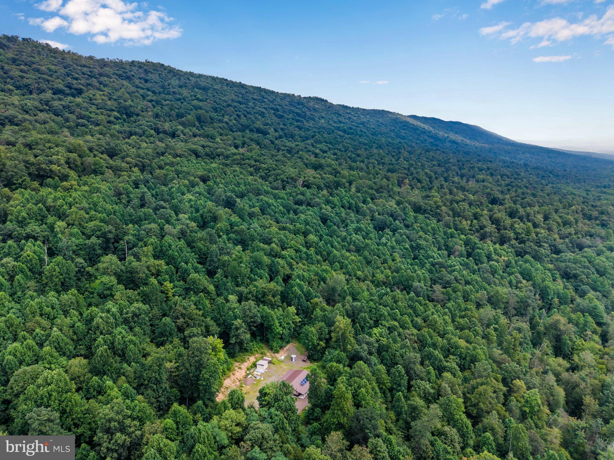 0 Vincent Tram Road Lewistown, PA 17044 - Photo 18 of 21 a view of a mountain in the distance in a field