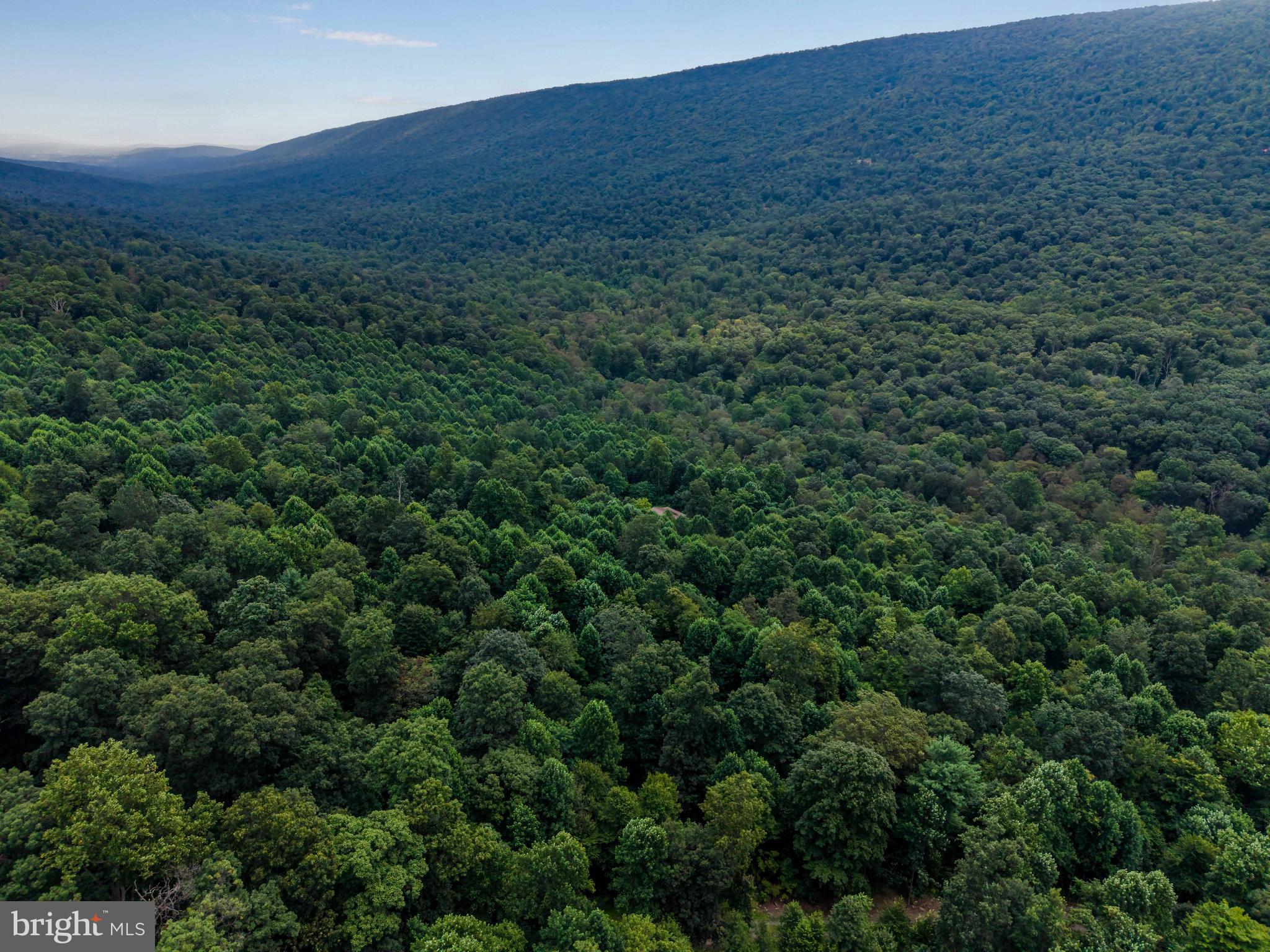 0 Vincent Tram Road Lewistown, PA 17044 - Photo 19 of 21 a view of a lush green forest with a house