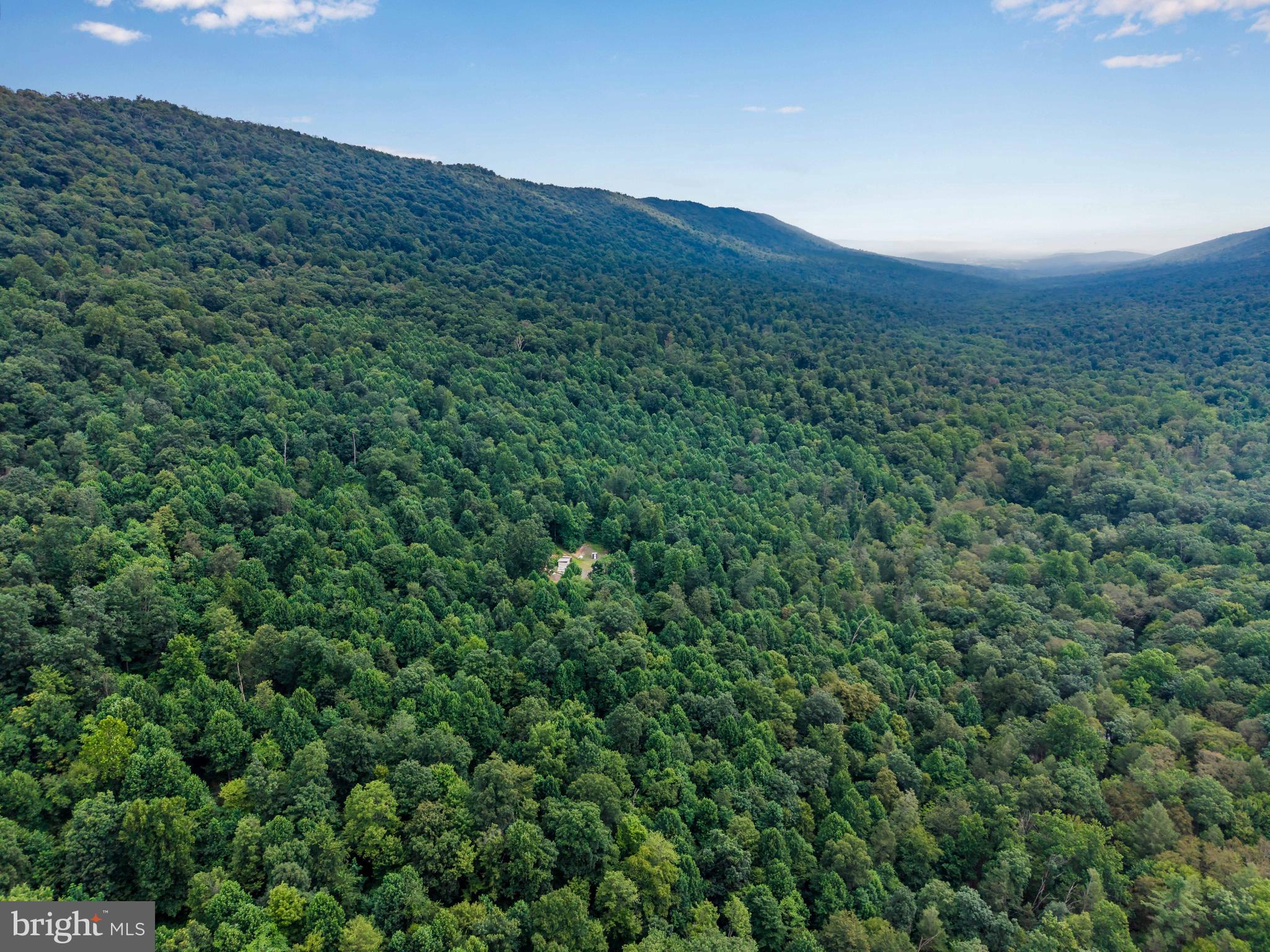 0 Vincent Tram Road Lewistown, PA 17044 - Photo 20 of 21 a view of a lush green forest with a mountain