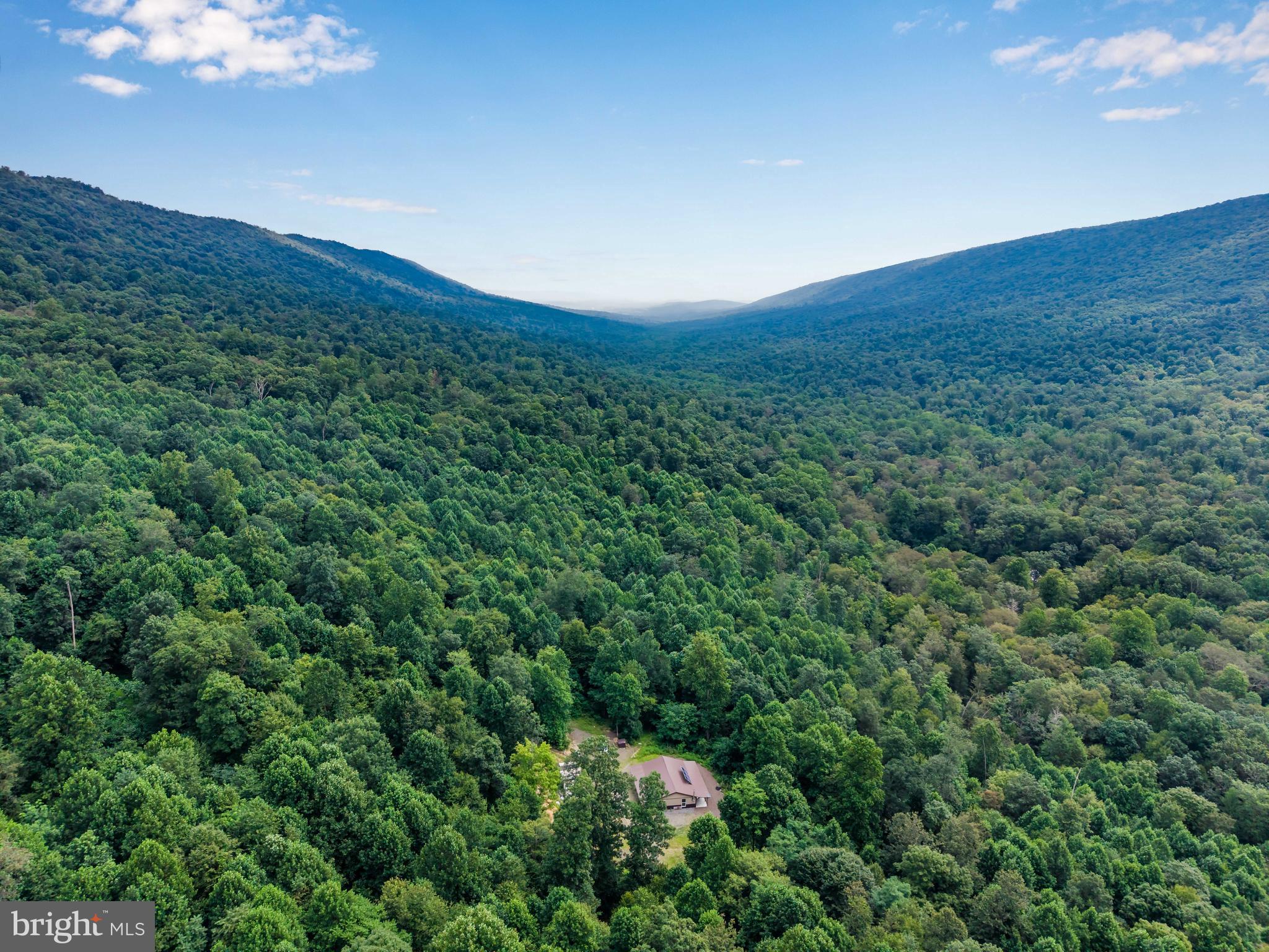 0 Vincent Tram Road Lewistown, PA 17044 - Photo 2 of 21 a view of a lush green forest with lots of trees