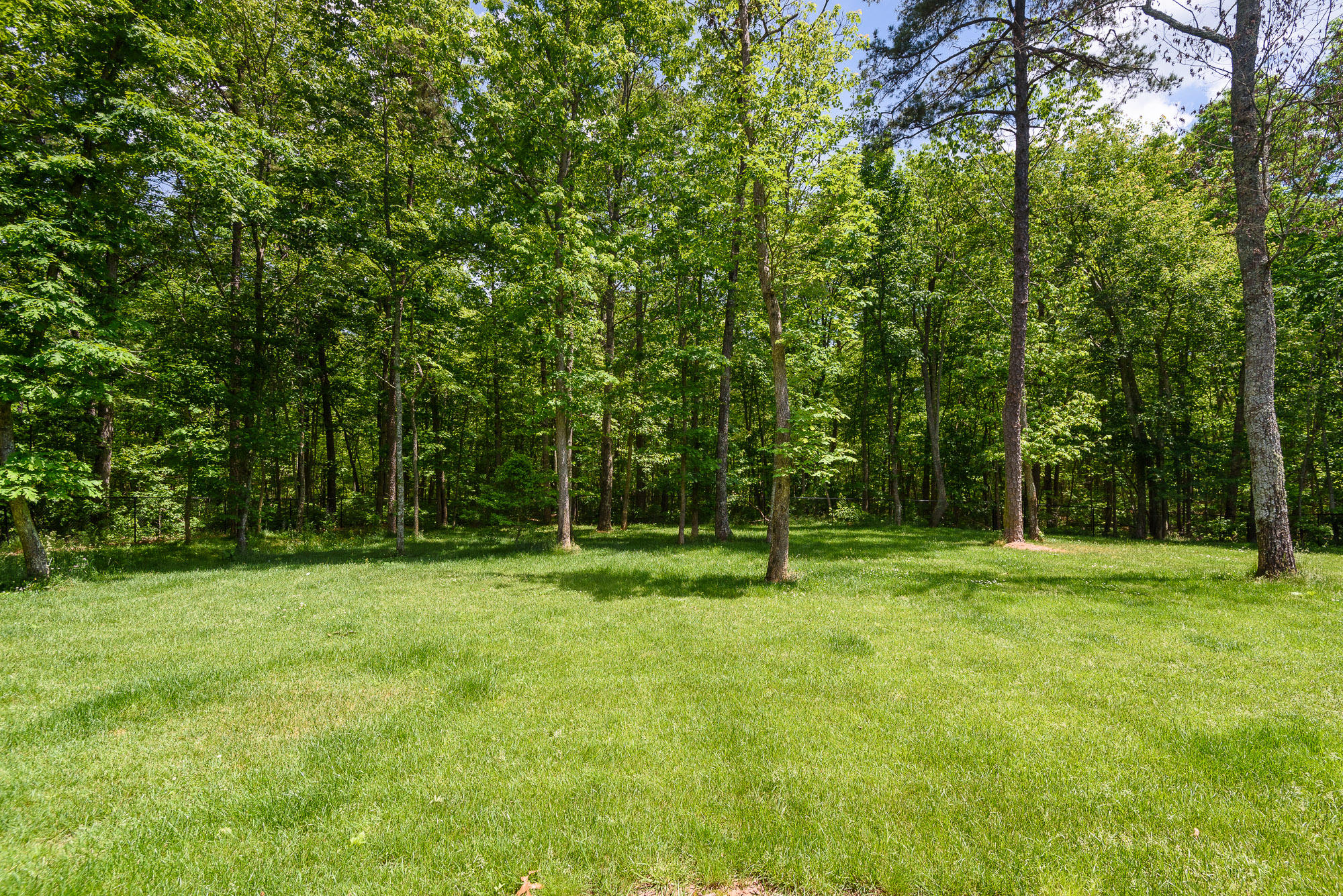 333 Horseshoe Road Signal Mountain, TN 37377 - Photo 6 of 40 xback_4