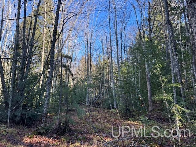 0 North Point Road Au Train, MI 49806 - Photo 17 of 20