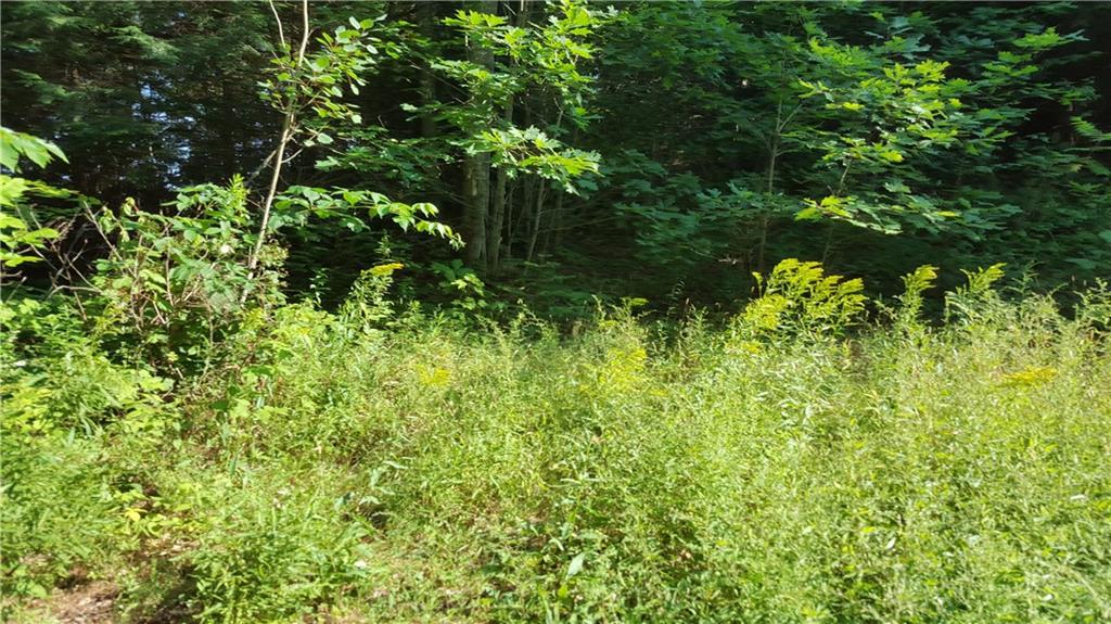 0 Sheepscot Road Newcastle, ME 04553 - Photo 3 of 9 Photo
