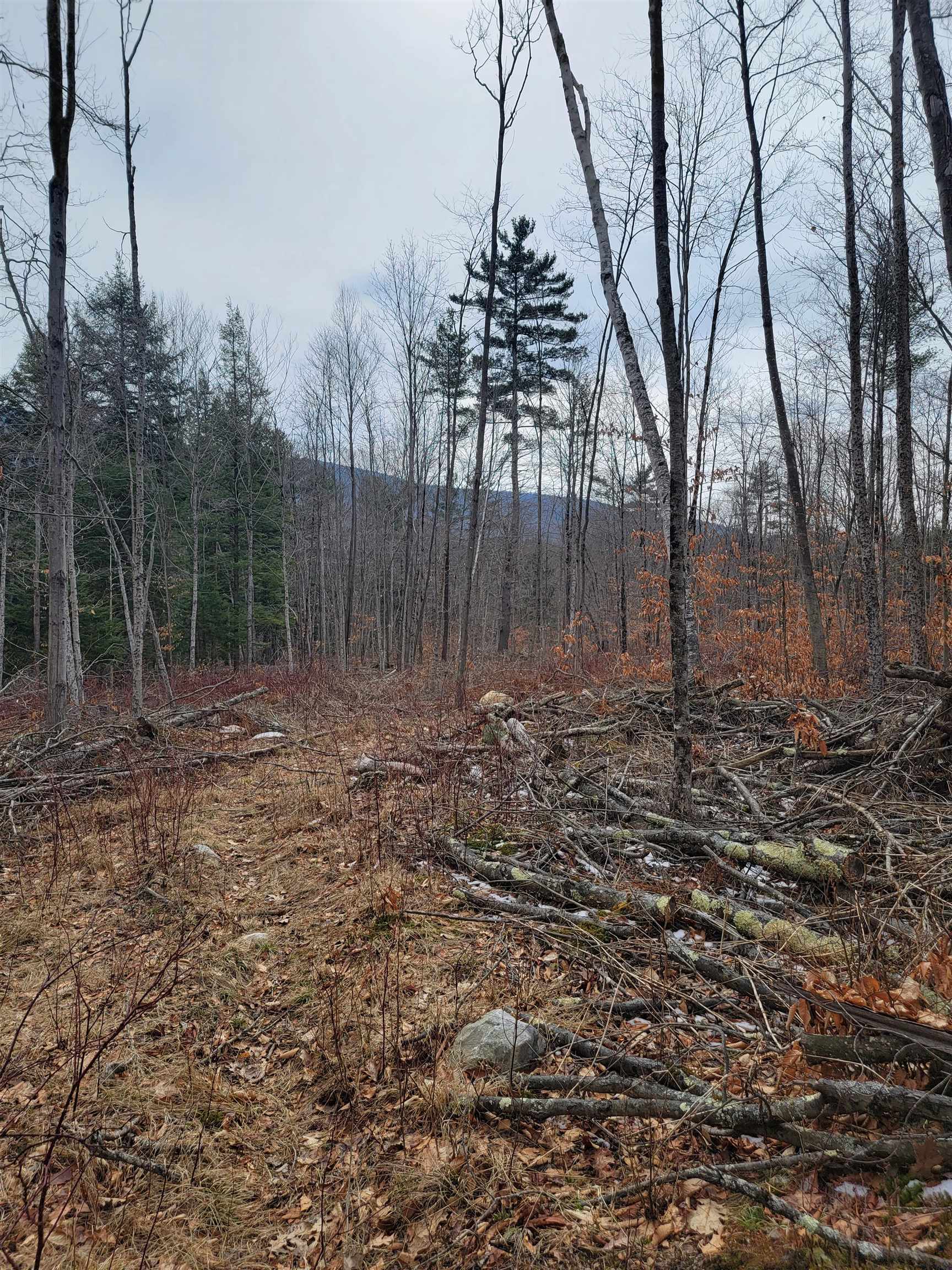 0 East Road Bennington, VT 05201 - Photo 6 of 8 Gallery Image 6