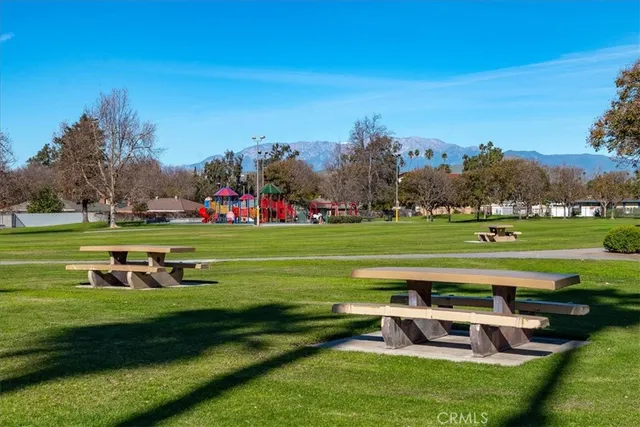 a view of a park with large trees