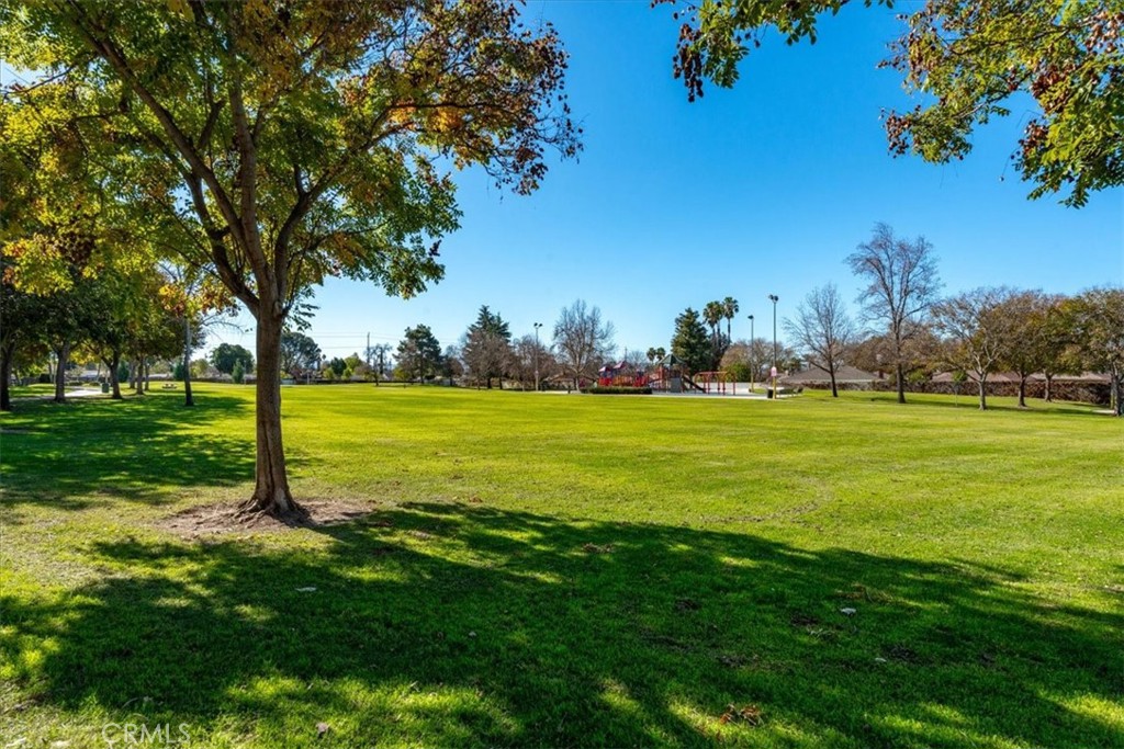 6240 Wiehe Avenue Riverside, CA 92506 - Photo 46 of 47 a view of a park with large trees