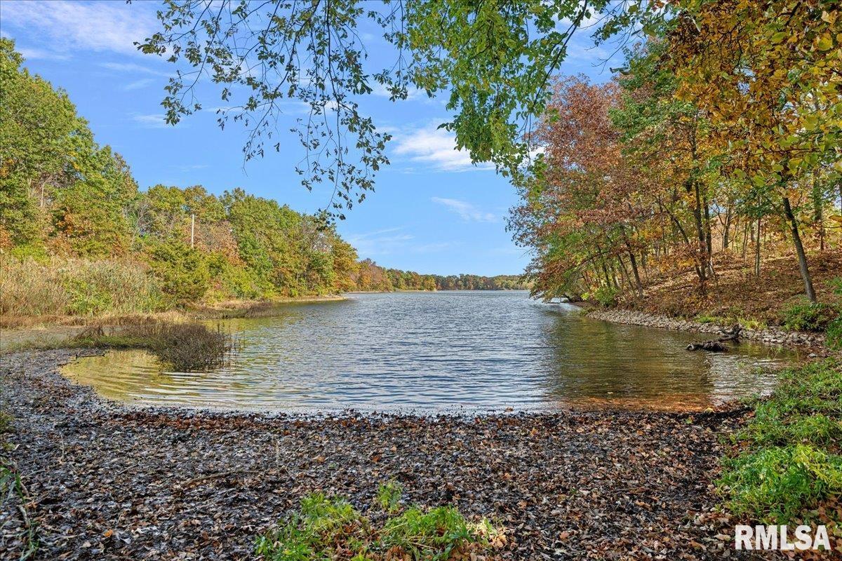 28360 Quarton Road Palmyra, IL 62674 - Photo 45 of 58