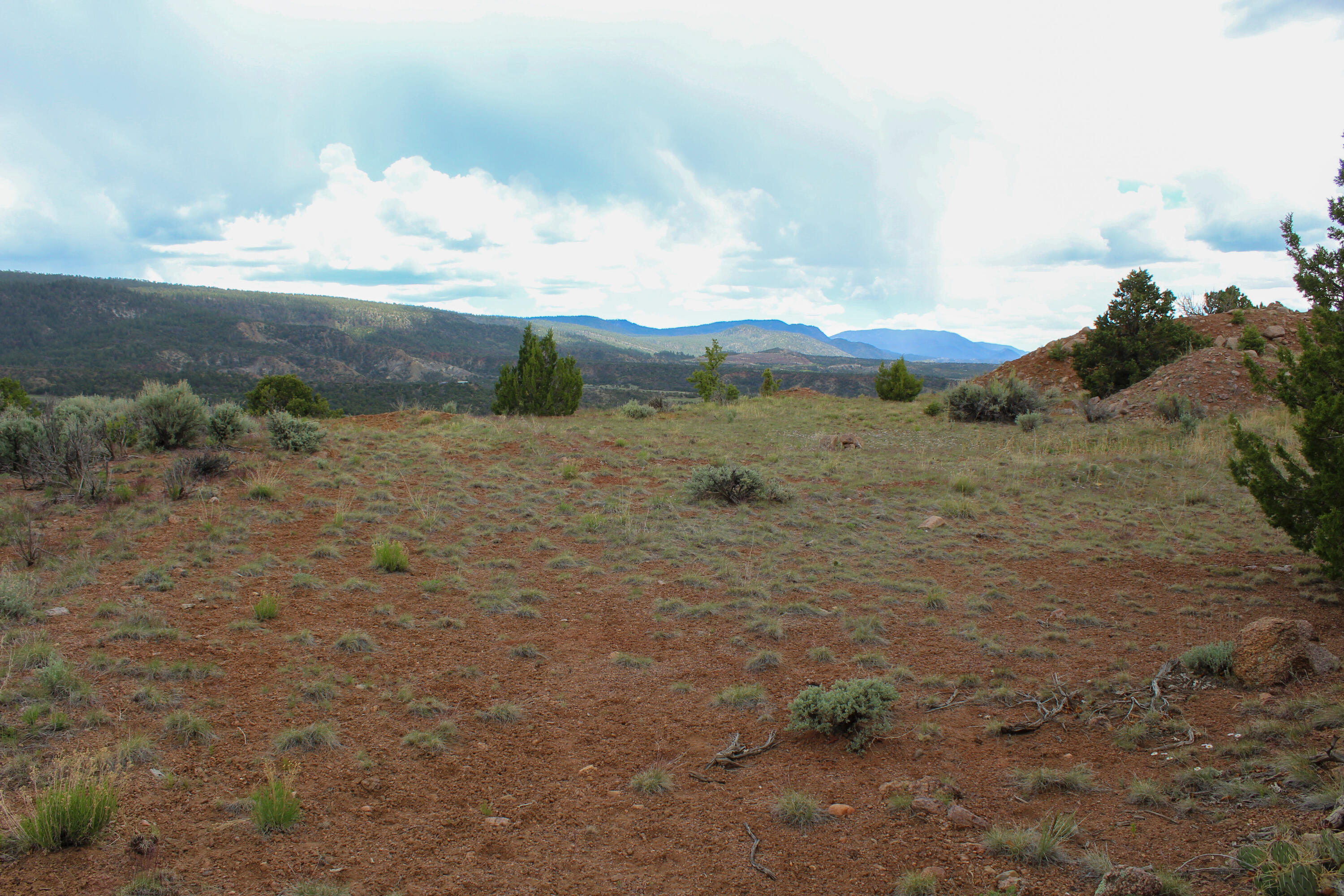 200 County Road Cuba, NM 87013 - Photo 38 of 70 Gallery Image 38