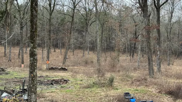 $179,000 | 4964 Blossom Hill Road, Morton, MS 39117
