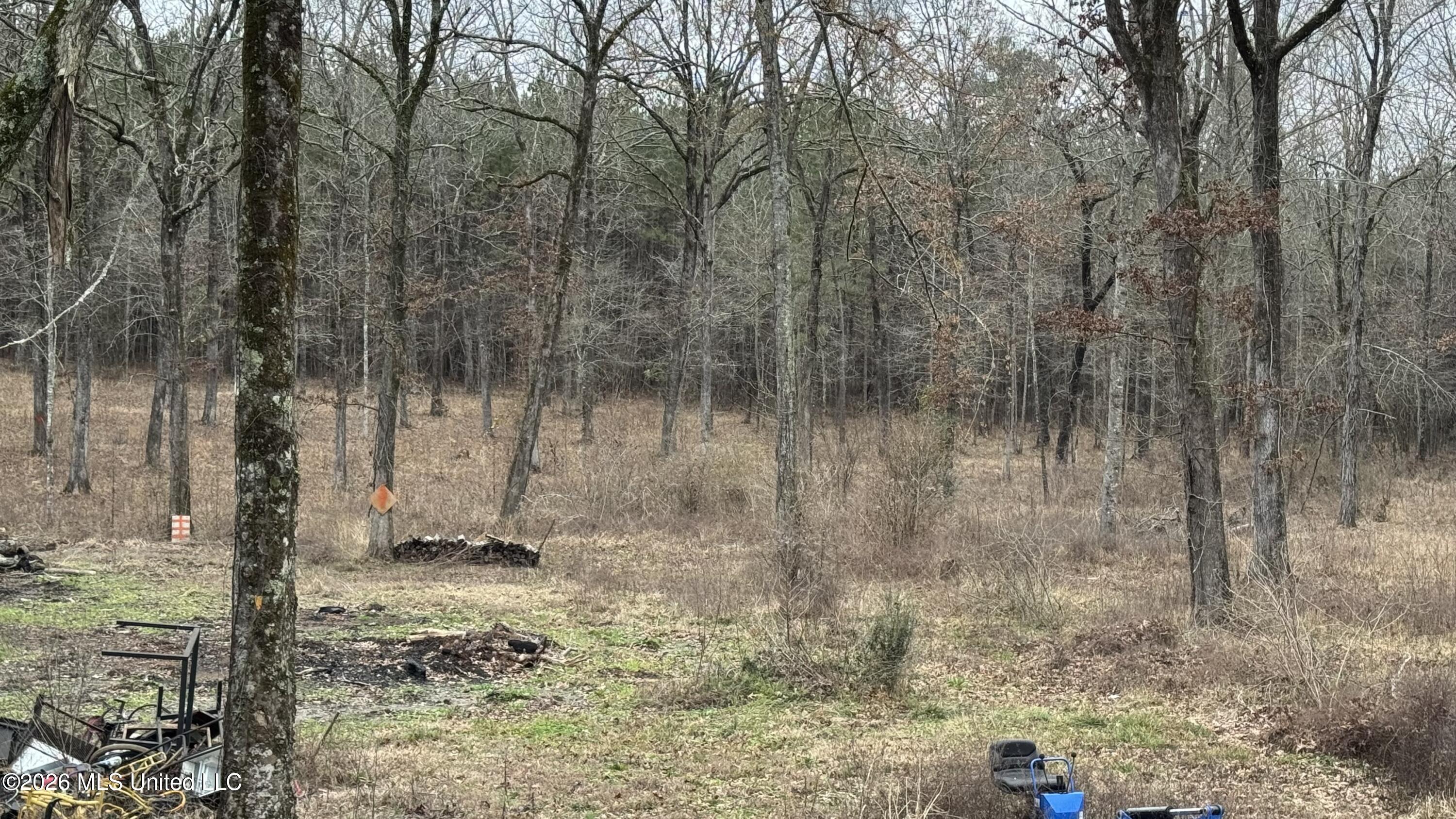 4964 Blossom Hill Road Morton, MS 39117 - Photo 19 of 22 IMG_4827