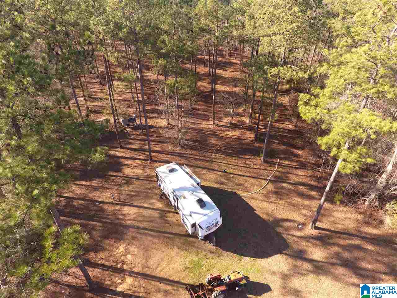 1899 County Road 76 Clanton, AL 35045 - Photo 4 of 41