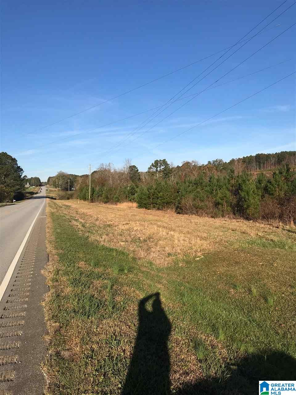 46 Highway 46 Ranburne, AL 36273 - Photo 2 of 5