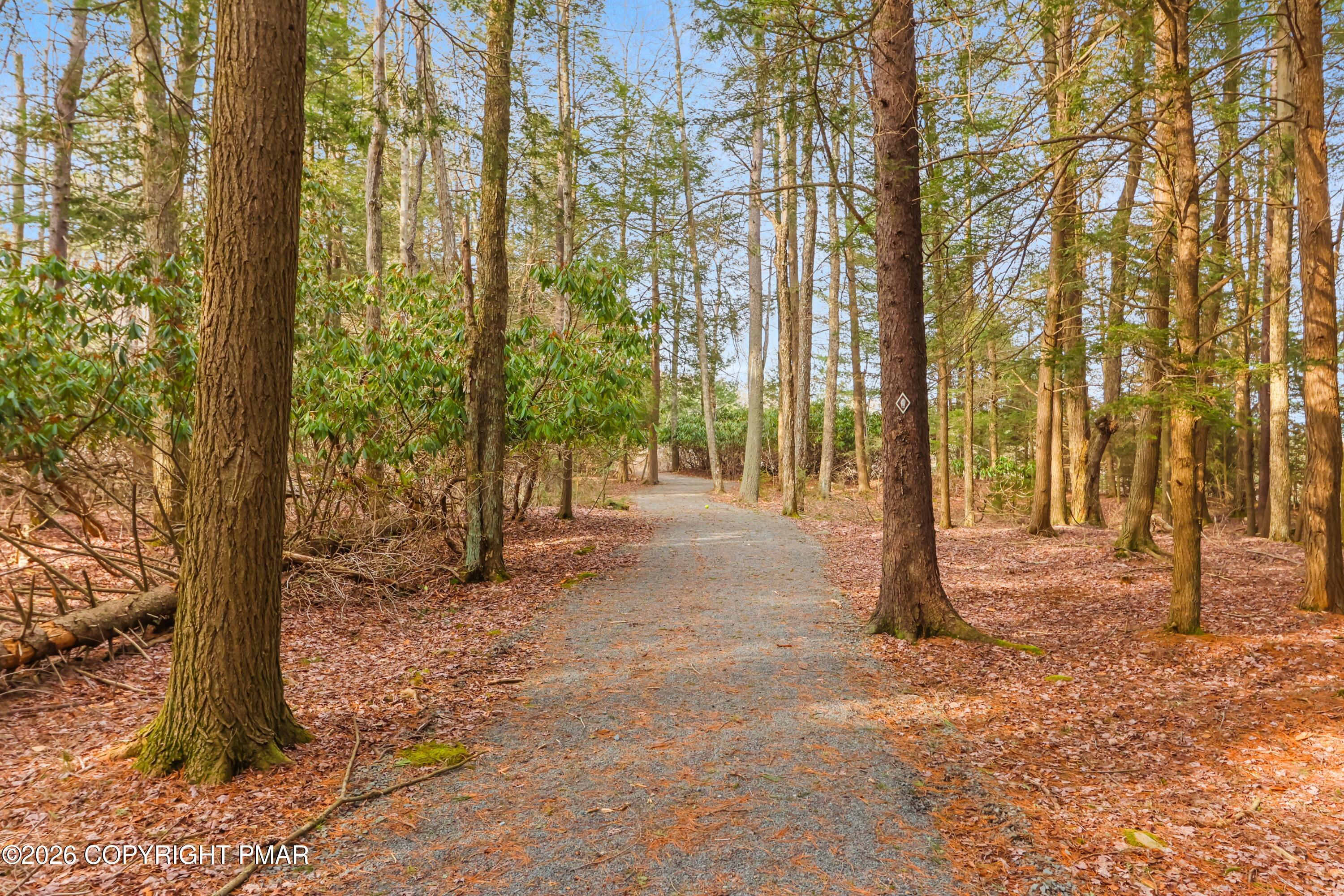 Onondaga Road Pocono Pines, PA 18350 - Photo 3 of 21 a view of road and trees