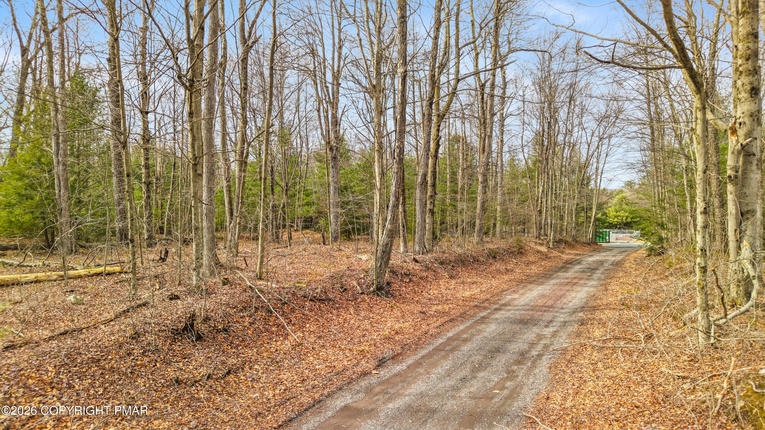 Onondaga Road Pocono Pines, PA 18350 - Photo 5 of 21 a view of outdoor space with trees
