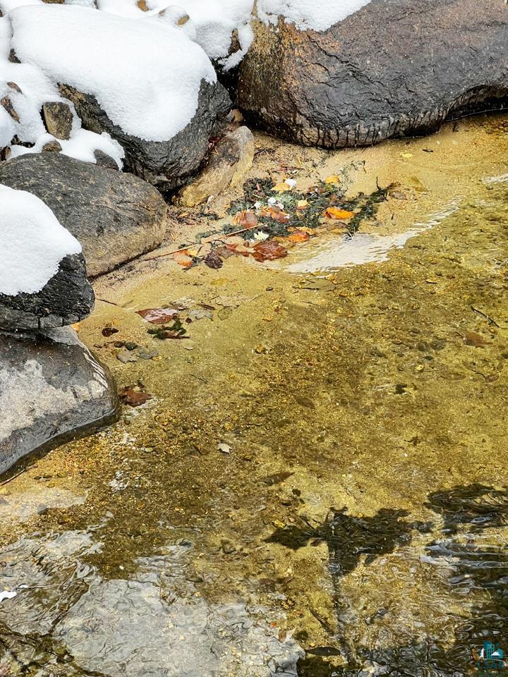 Xxx Xxx Lake Cook, MN 55723 - Photo 29 of 39