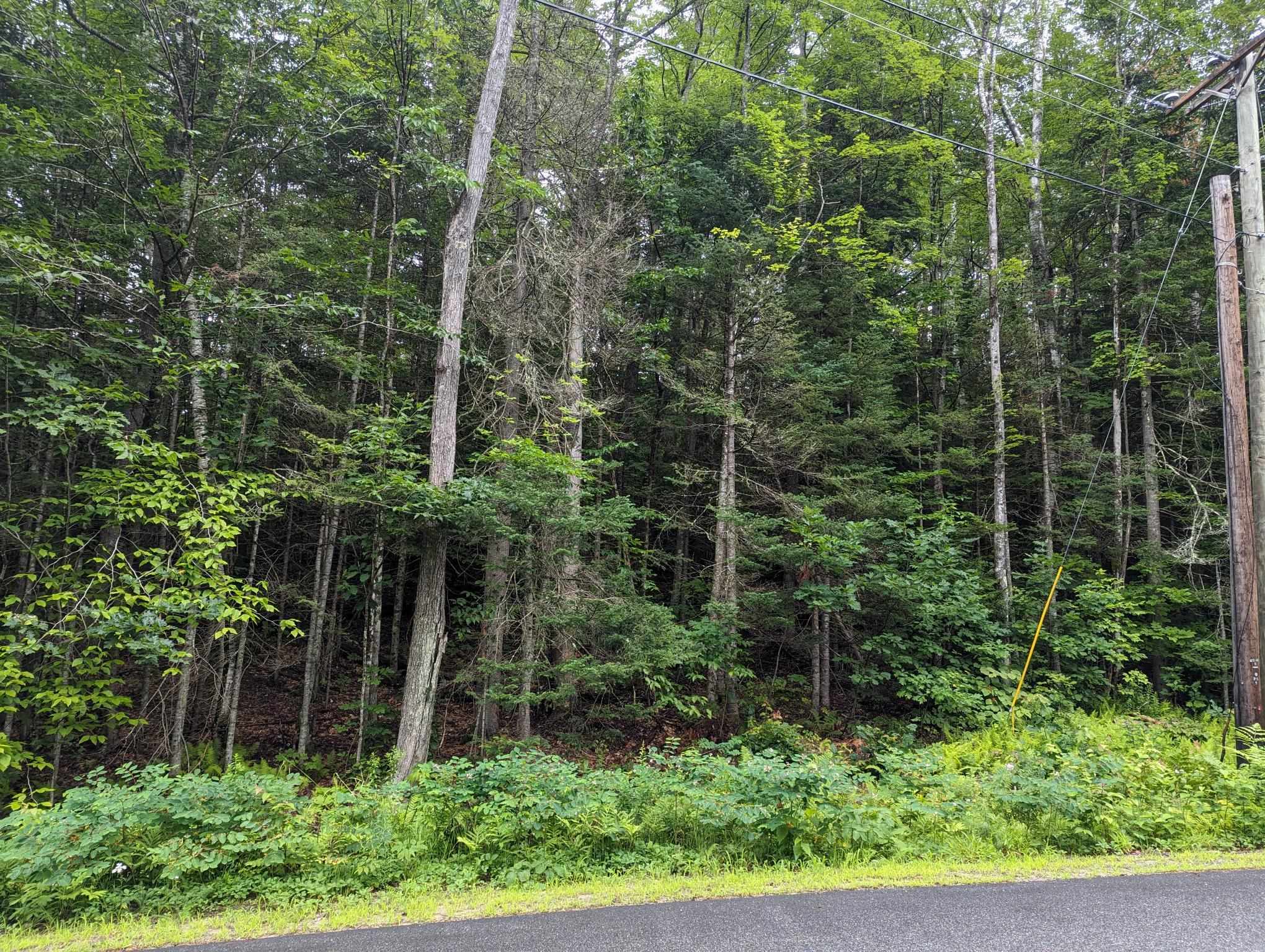 5 Donovan Farm Road Campton, NH 03223 - Photo 12 of 26