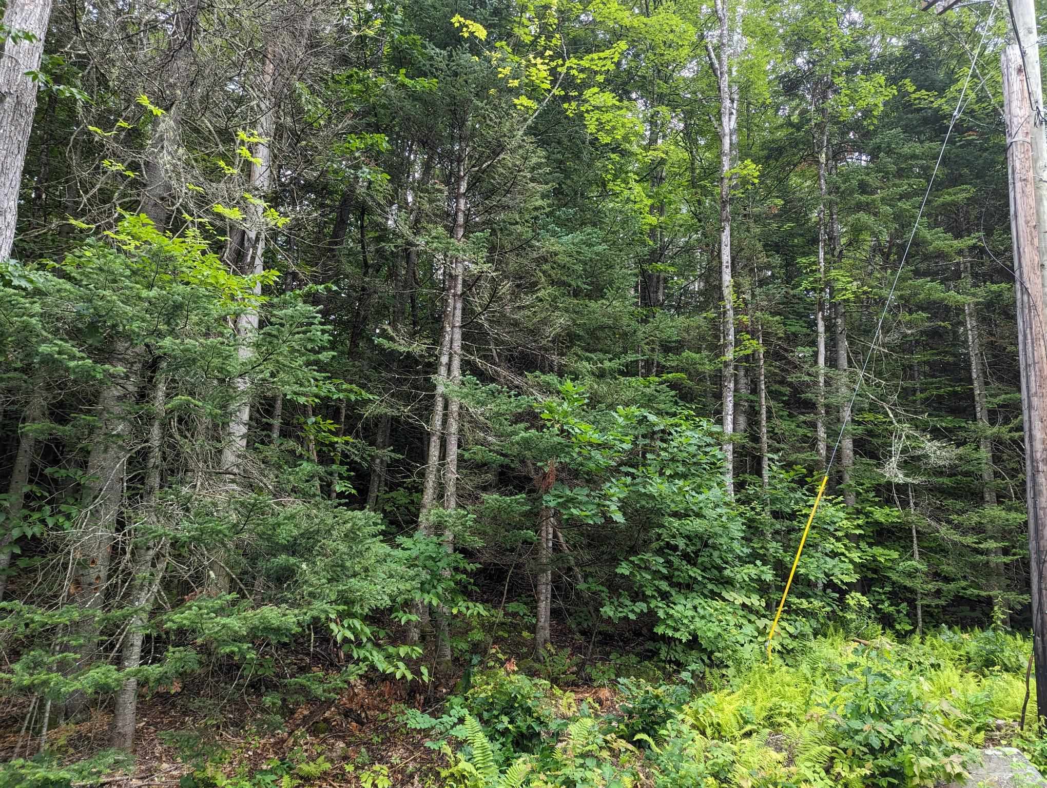 5 Donovan Farm Road Campton, NH 03223 - Photo 20 of 26