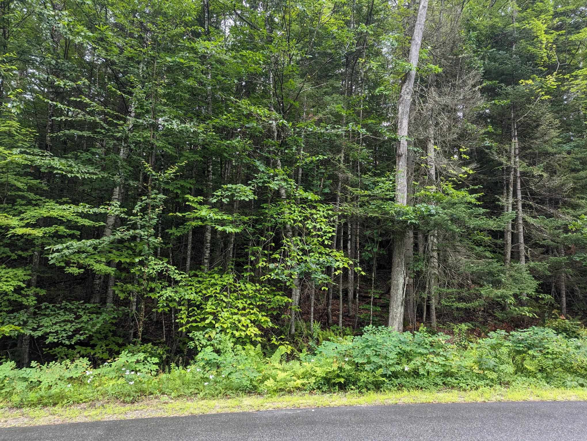 5 Donovan Farm Road Campton, NH 03223 - Photo 23 of 26