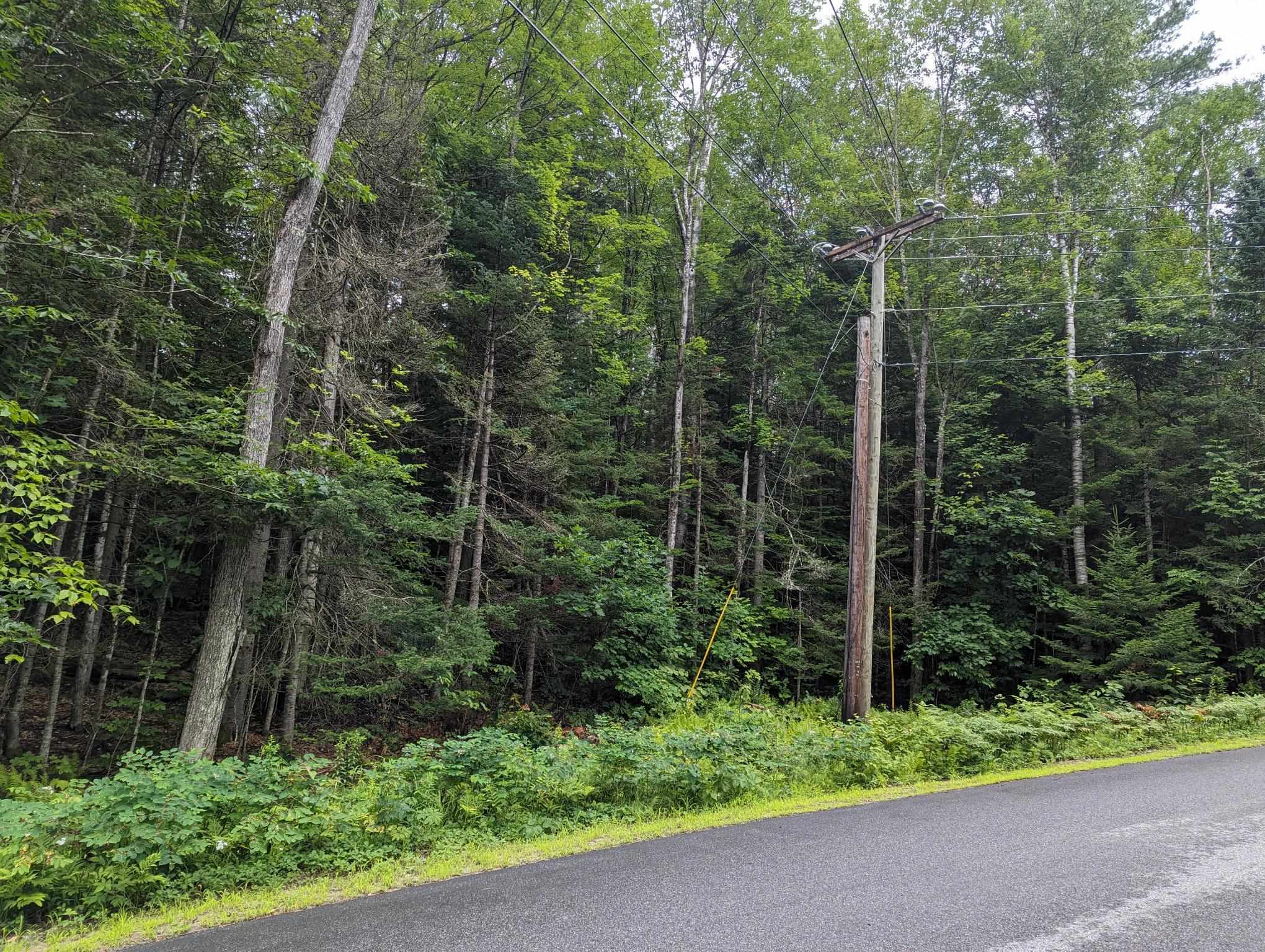 5 Donovan Farm Road Campton, NH 03223 - Photo 3 of 26