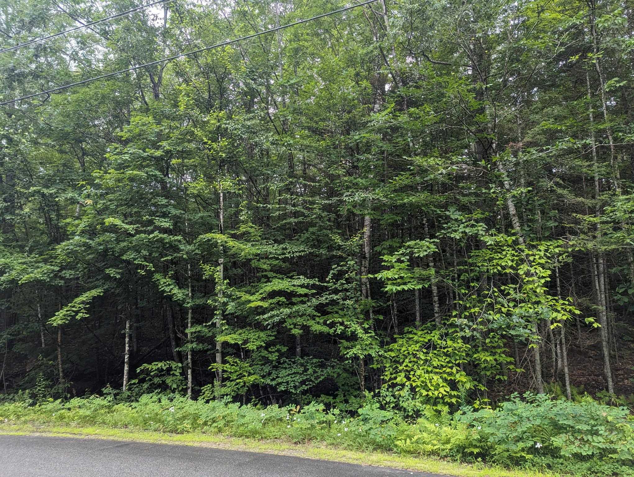5 Donovan Farm Road Campton, NH 03223 - Photo 6 of 26