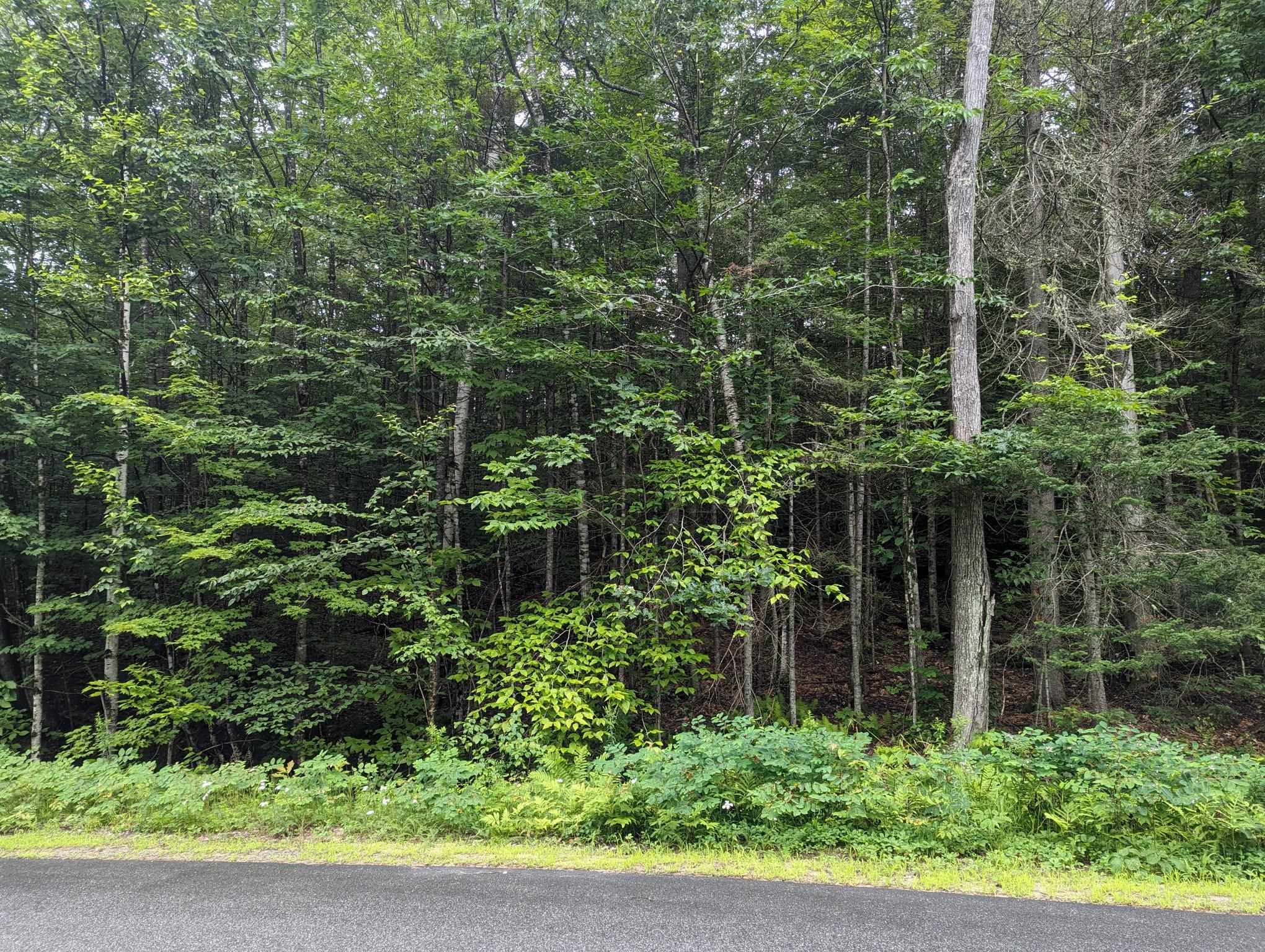 5 Donovan Farm Road Campton, NH 03223 - Photo 10 of 26