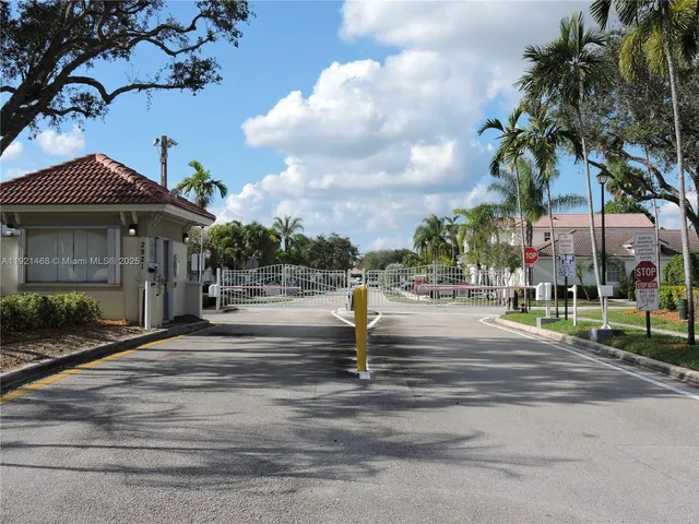 a park with lots of palm trees