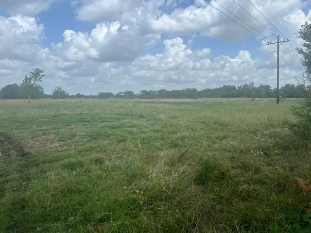 a view of a field with an ocean
