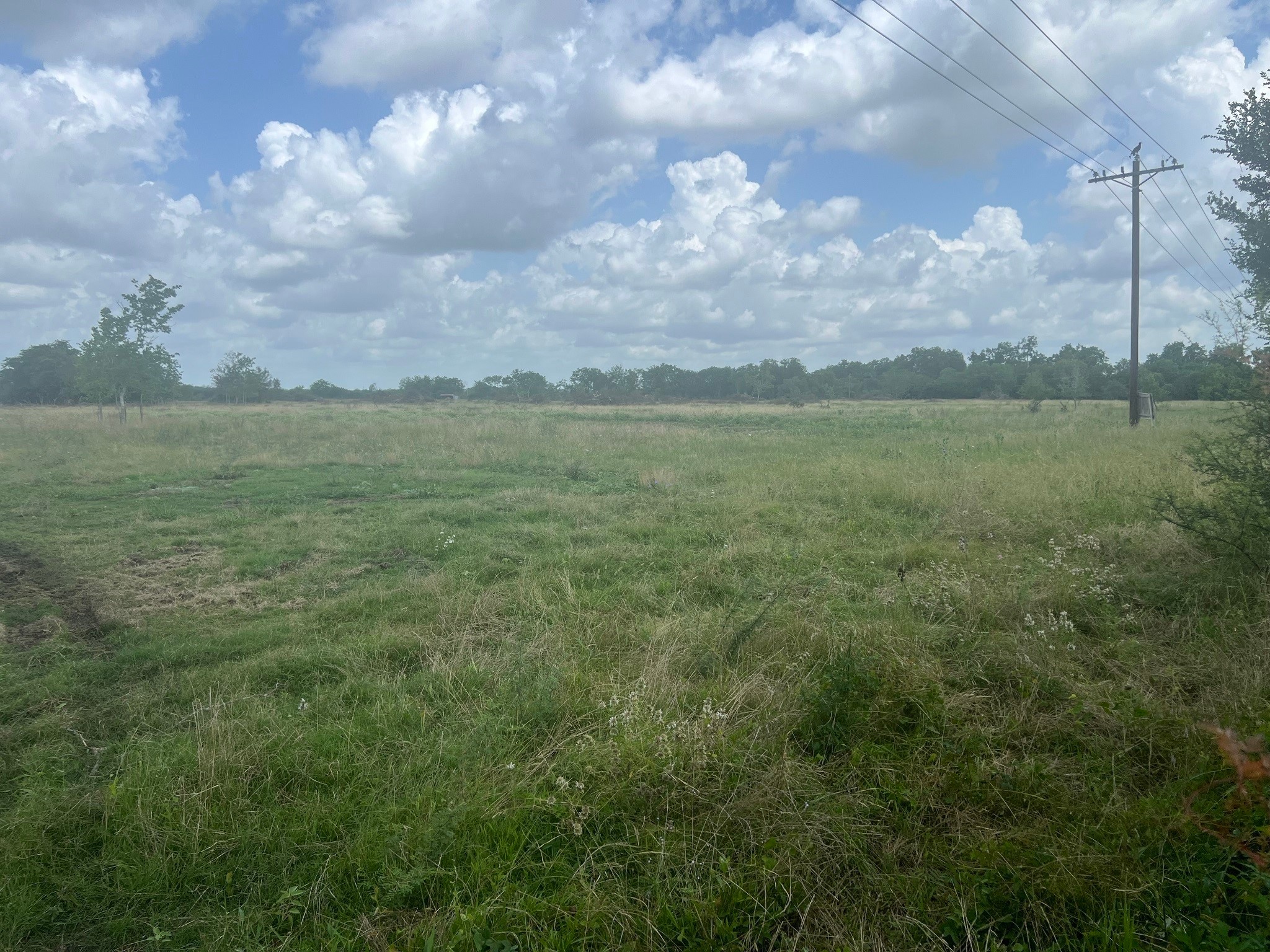 a view of a field with an ocean