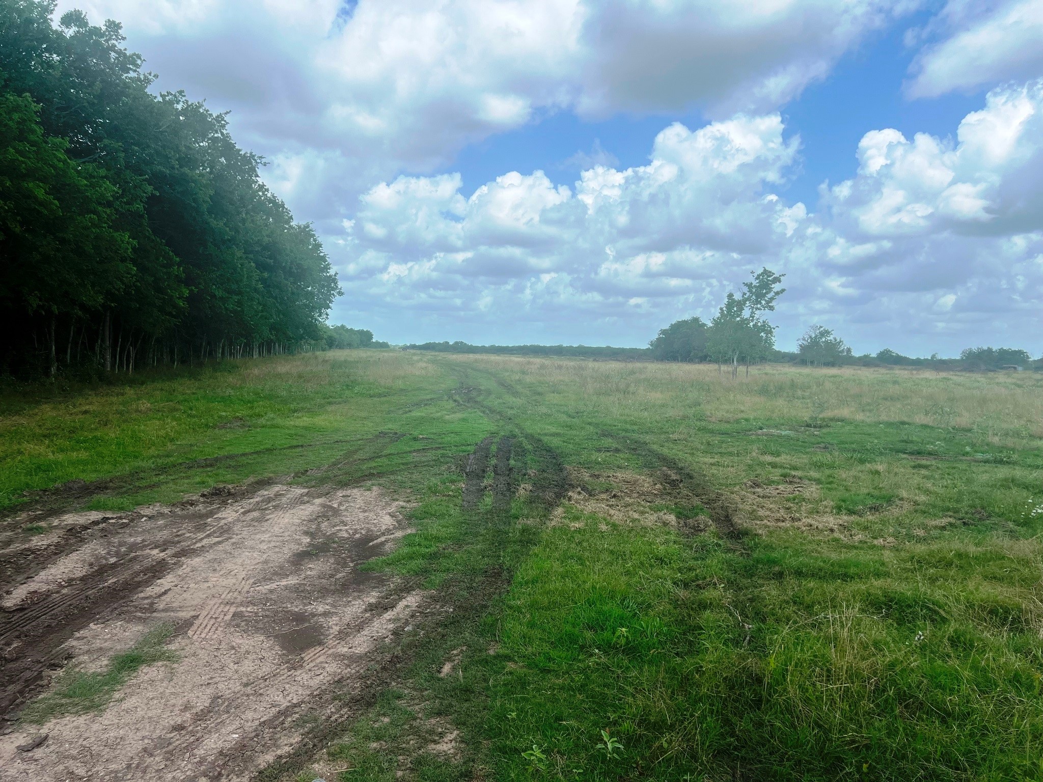 8925 Kerr Road Pattison, TX 77423 - Photo 11 of 11 a view of a big yard with lots of green space