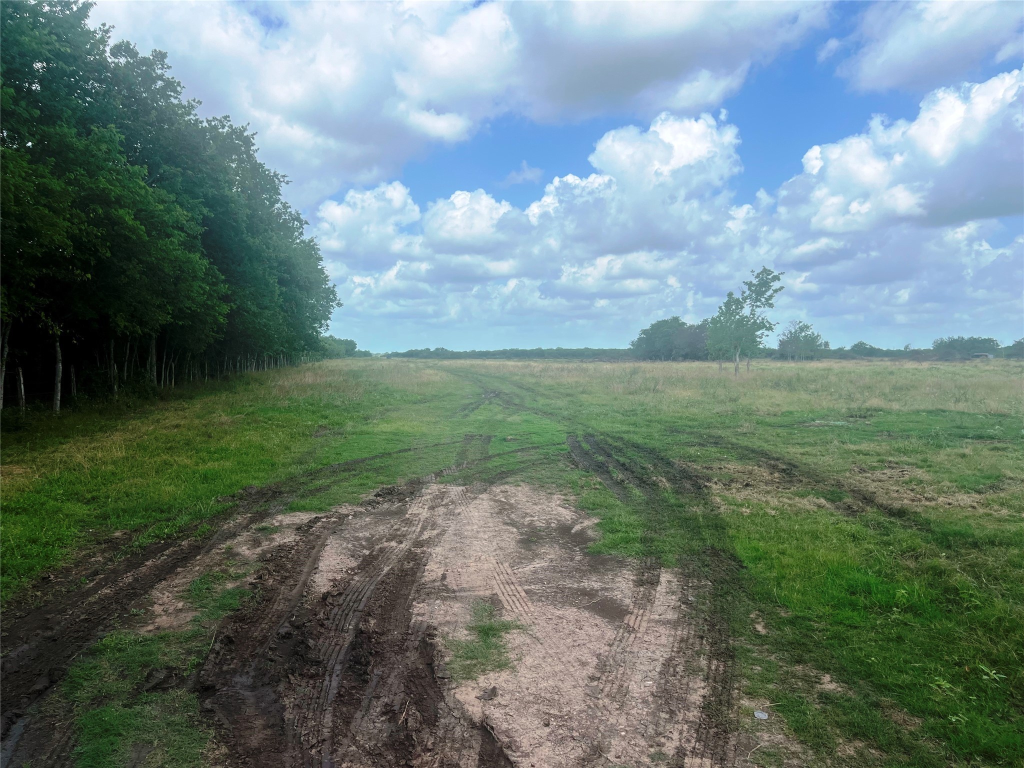 8925 Kerr Road Pattison, TX 77423 - Photo 3 of 11 a view of a big yard with lots of green space