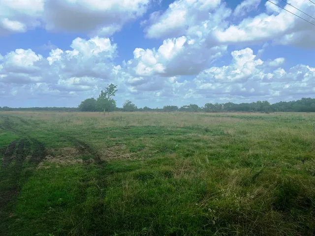 a view of a big yard with lots of green space