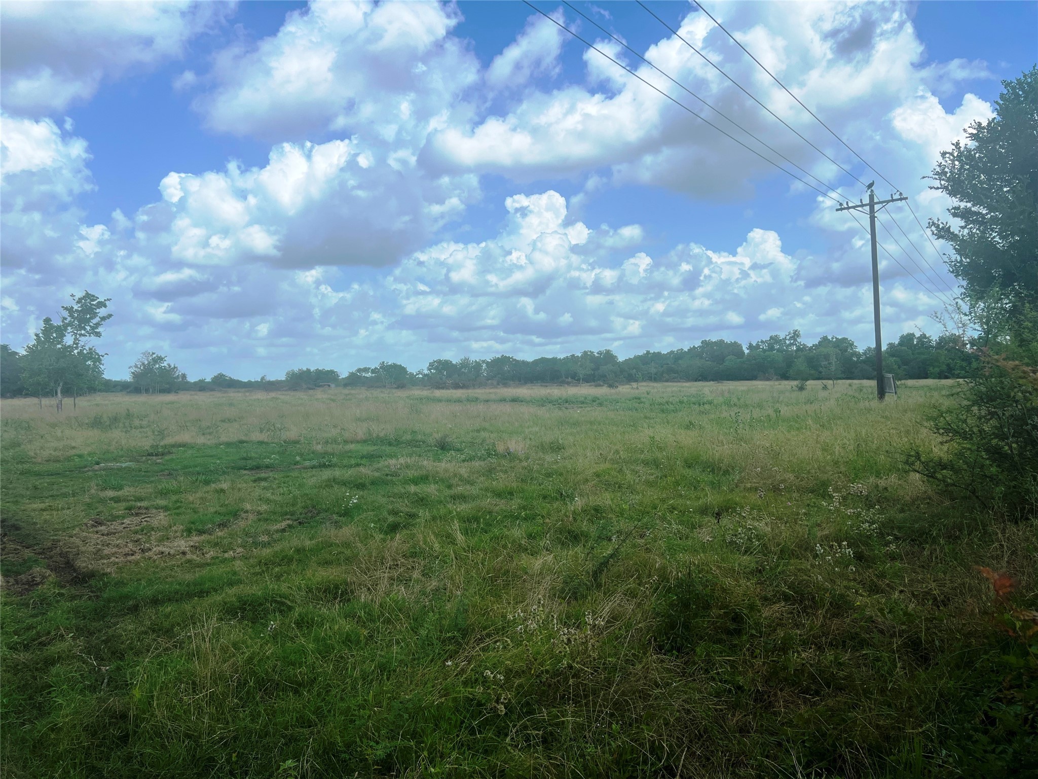 8925 Kerr Road Pattison, TX 77423 - Photo 5 of 11 a view of a big yard with lots of green space