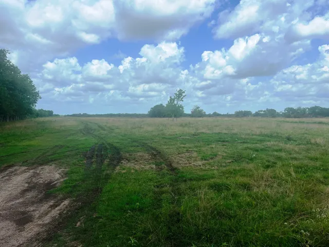 a view of a big yard with lots of green space