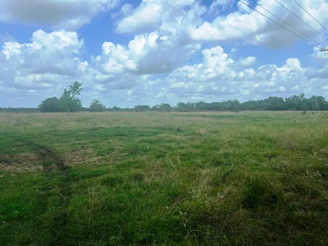 a view of a big yard with lots of green space