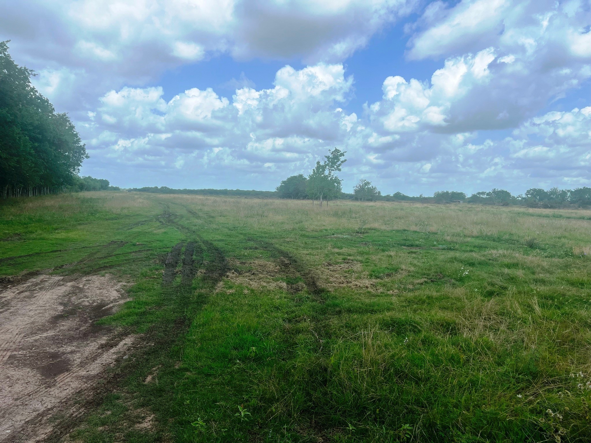 8925 Kerr Road Pattison, TX 77423 - Photo 10 of 11 a view of a big yard with lots of green space