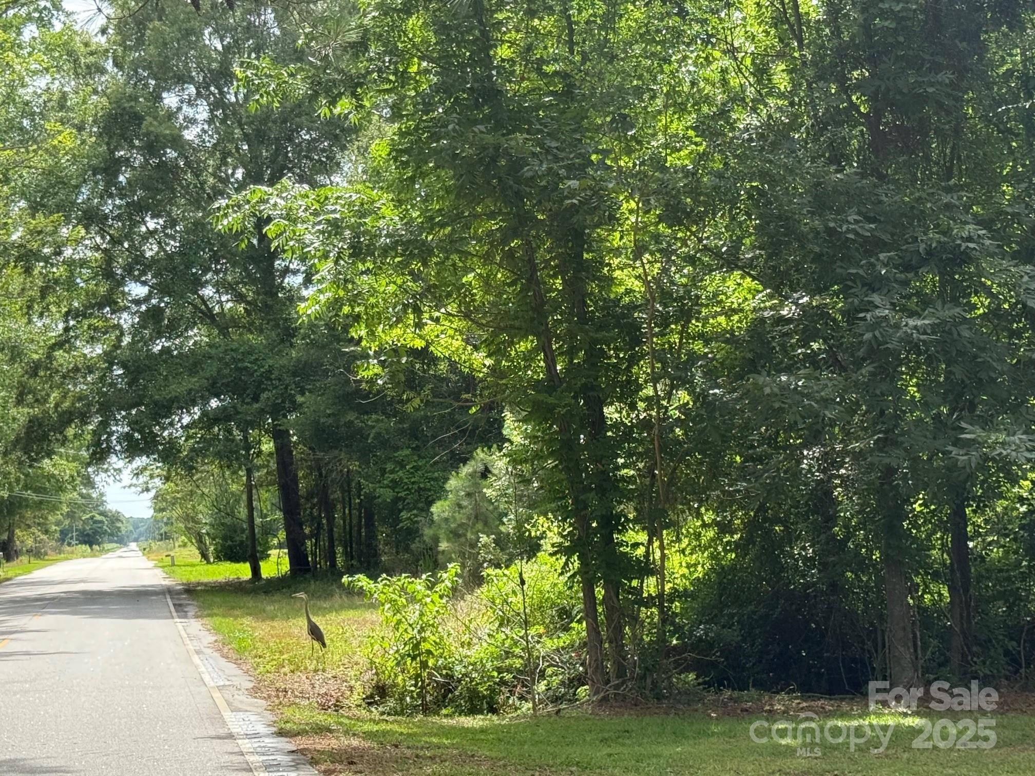 2931 Calhoun Road Clio, SC 29525 - Photo 31 of 31 Gallery Image 31
