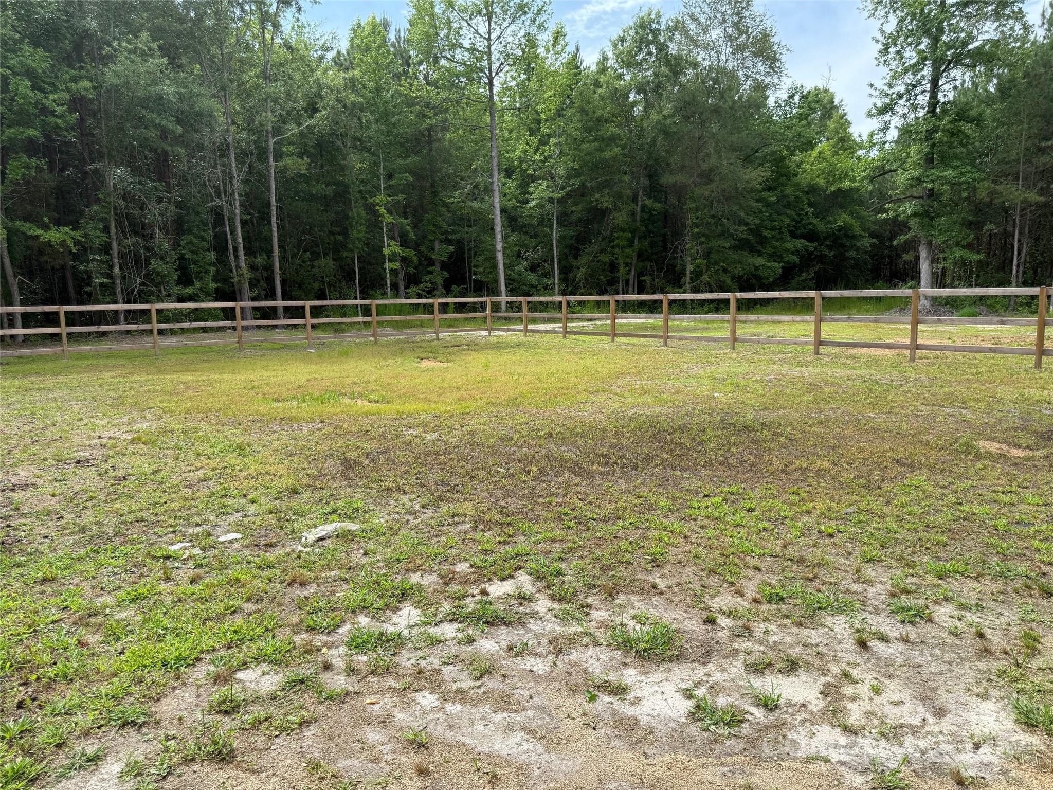 2931 Calhoun Road Clio, SC 29525 - Photo 7 of 31 Gallery Image 7