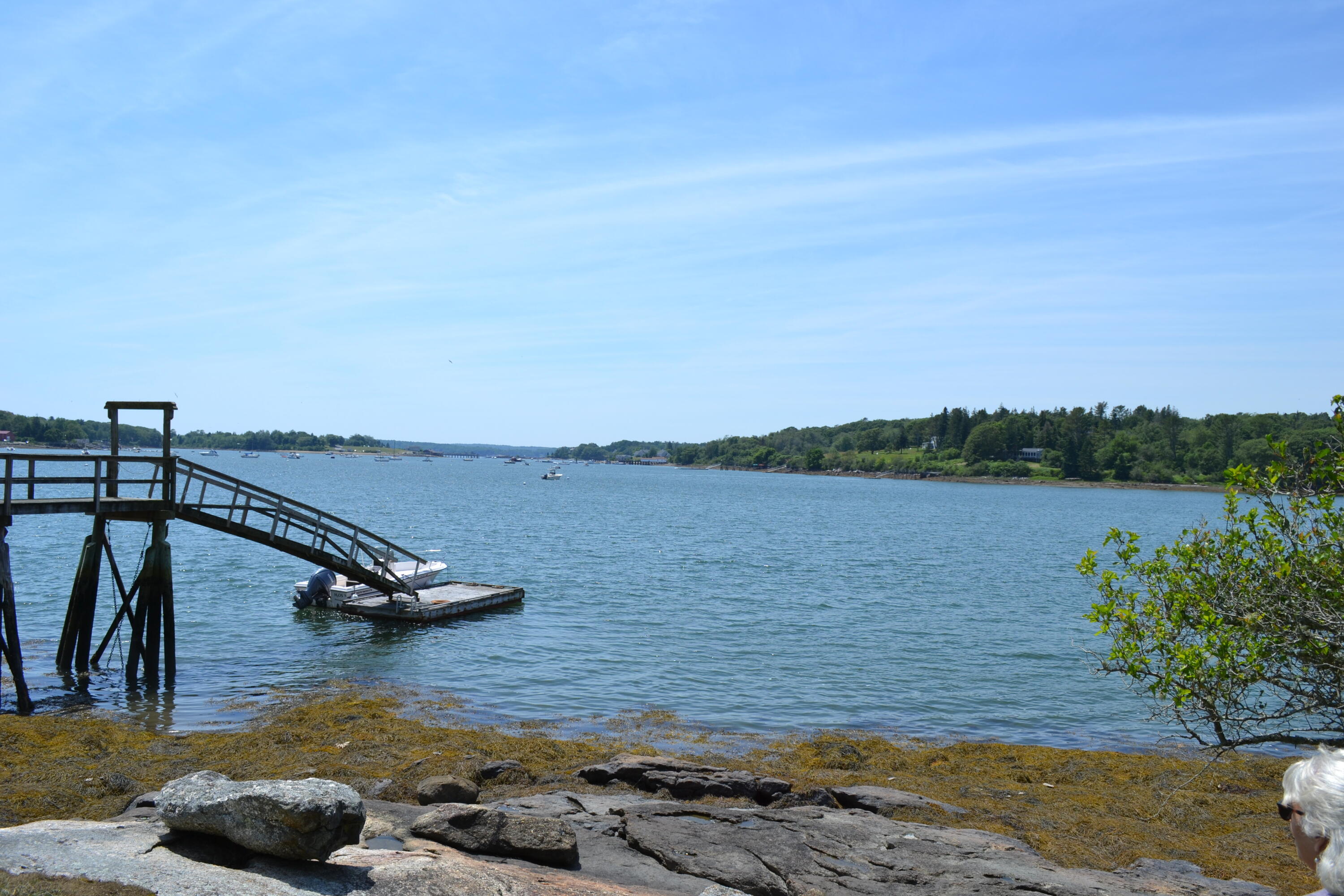 63 Bradley Shore Road Pemaquid, ME 04558 - Photo 21 of 22 DSC_0122