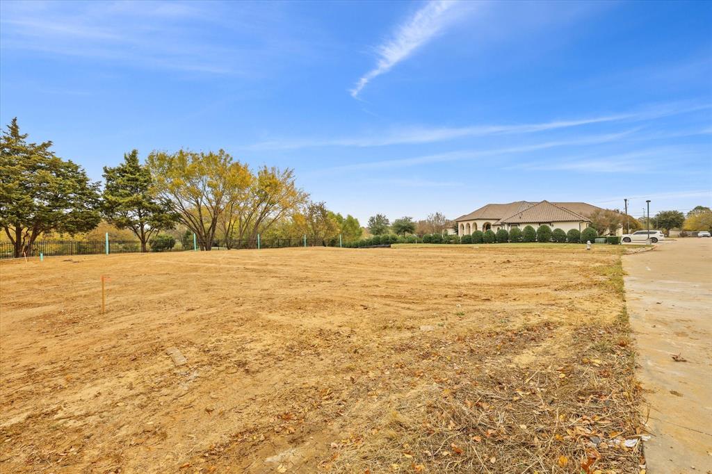 1031 Matlock Road Mansfield, TX 76063 - Photo 12 of 16 View of yard