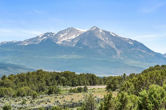 a view of a lake in middle of the forest