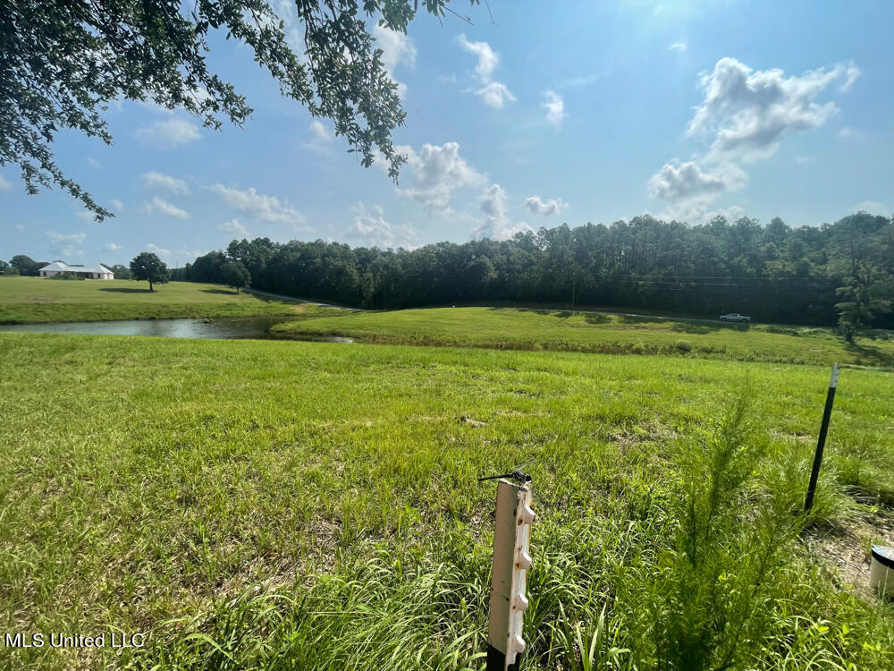 Lot 23 Gracies Way Lucedale, MS 39452 - Photo 41 of 54 IMG_2313