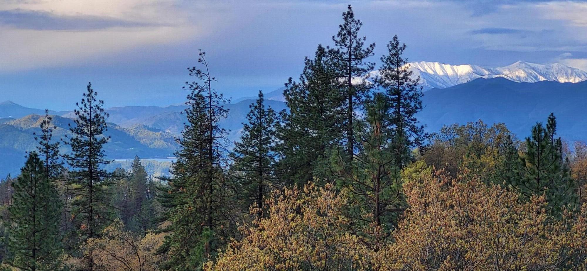 19300 Mountain Maple Road Lakehead, CA 96051 - Photo 64 of 64 20240330_074649 (1)