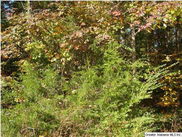 Old Choccolocco Road, Unit 73 Anniston, AL 36207 - Photo 18 of 30