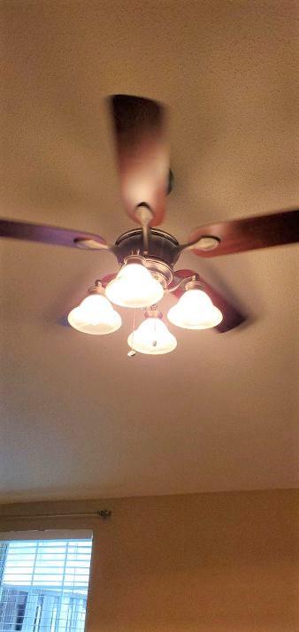 8013 Intervale Way Powell, TN 37849 - Photo 4 of 18 Beautiful Lighing in LR