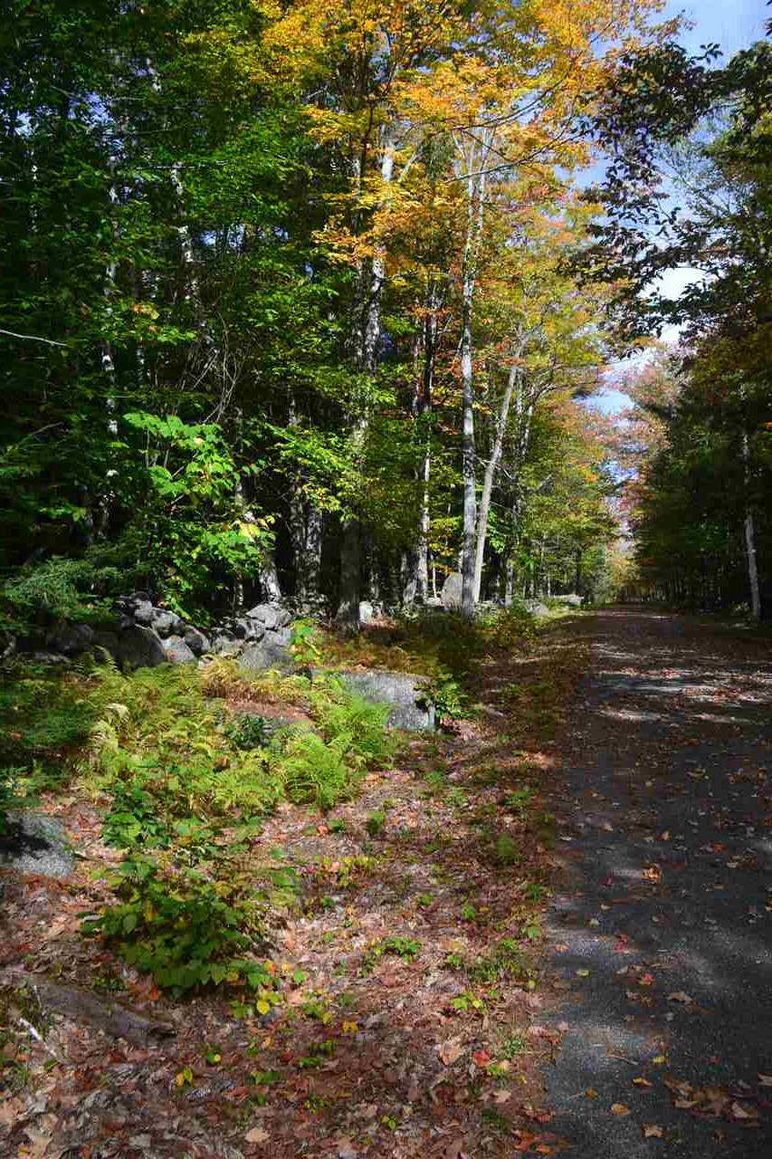 10 Dodge Hill Road Windsor, NH 03244 - Photo 6 of 7