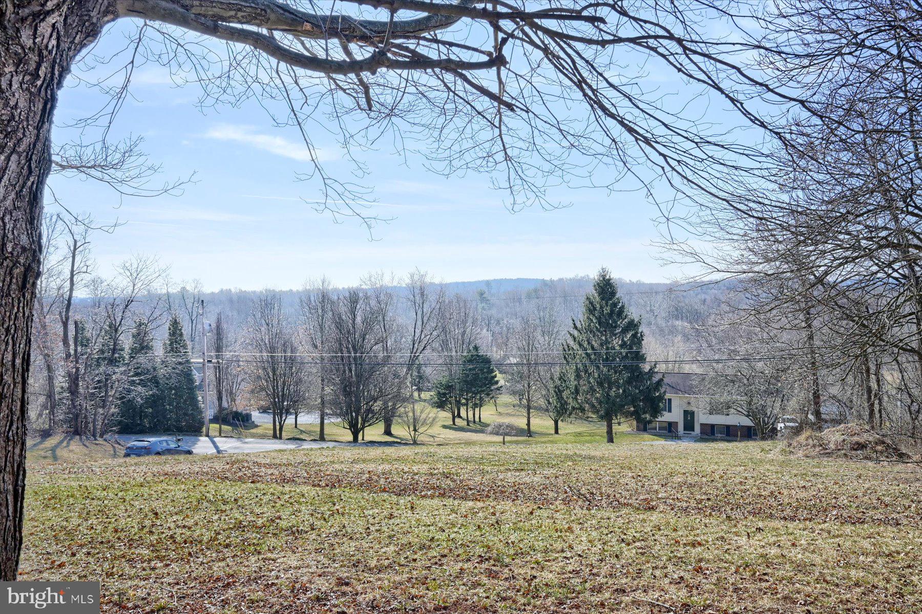 1765 County Line Road York Springs, PA 17372 - Photo 34 of 36 Front yard view