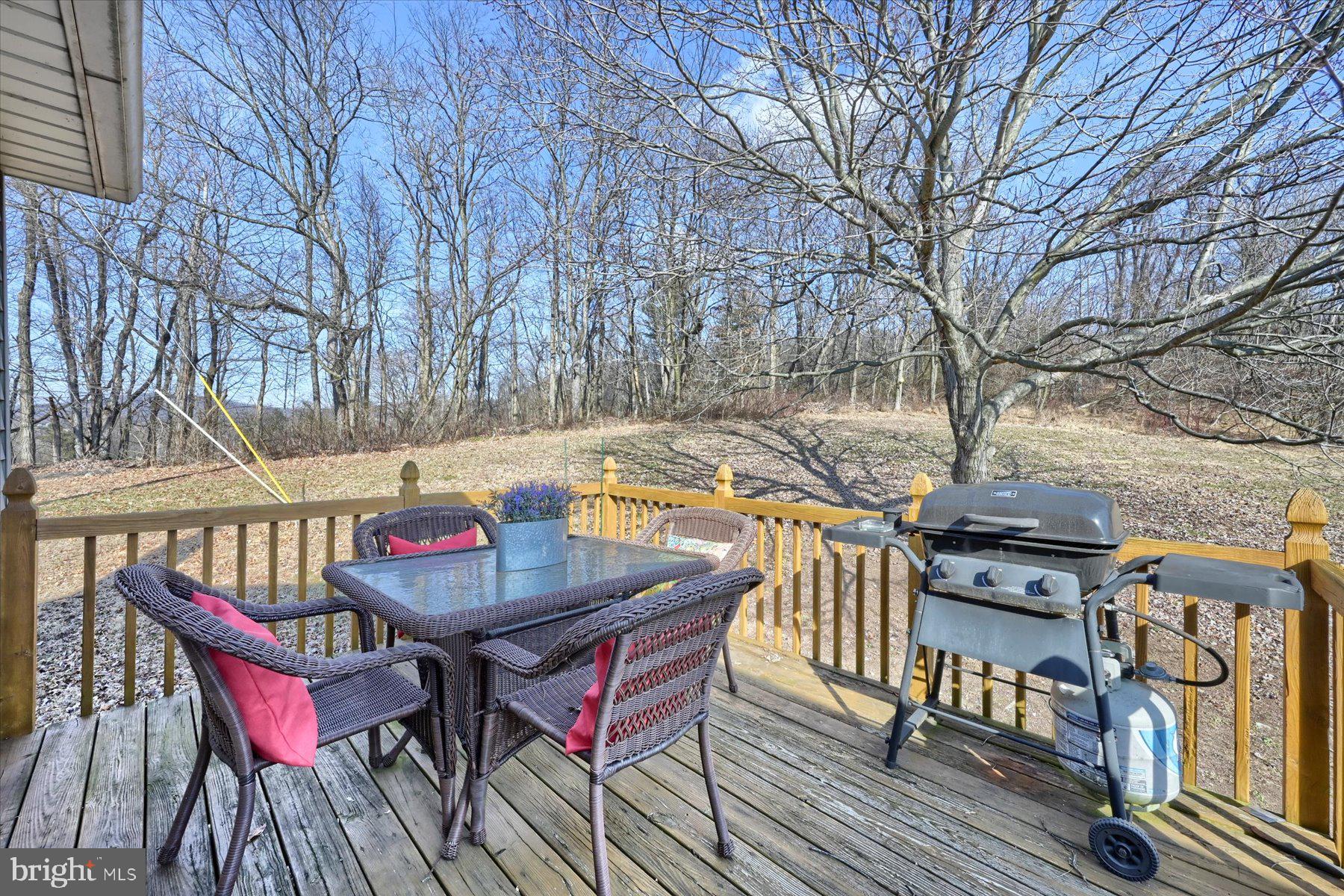 1765 County Line Road York Springs, PA 17372 - Photo 10 of 36 Enjoy coffee off this quiet deck view