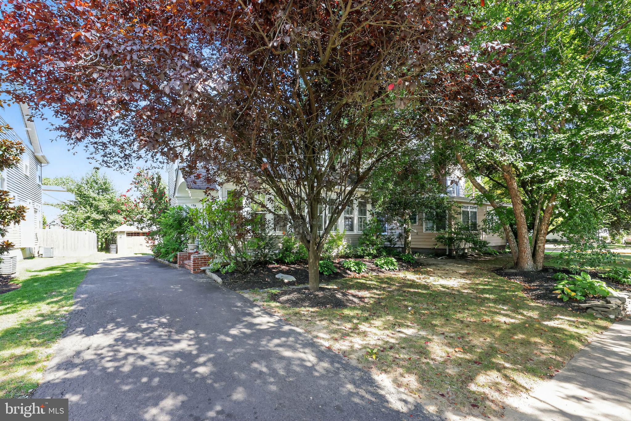 159 Wayne Avenue Haddonfield, NJ 08033 - Photo 2 of 30 a view of a tree in the middle of a yard